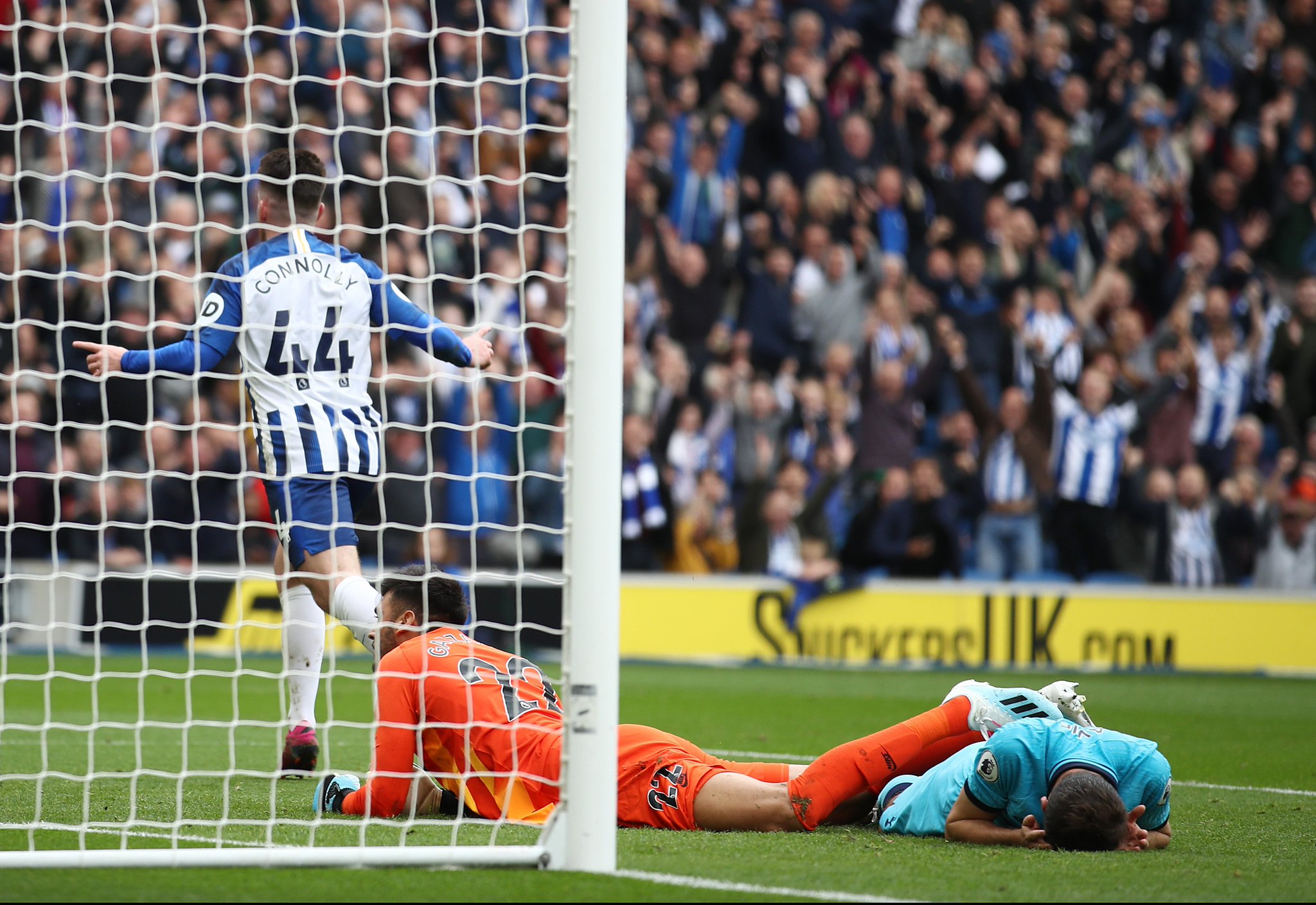 好地理解贝 好地理解贝